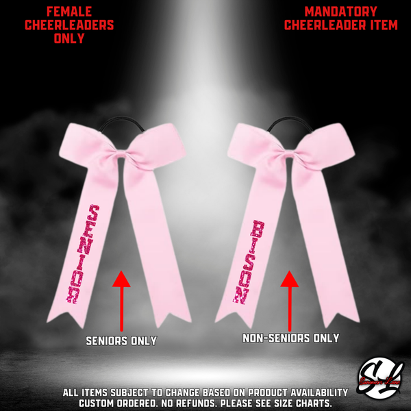 26-27 Cheer Team Pink Cheer Bow